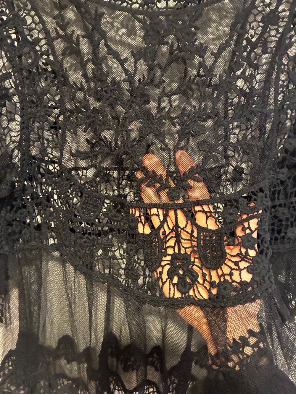 Rebellion Again Sheer Black Lace Top - Picture 7 of 8